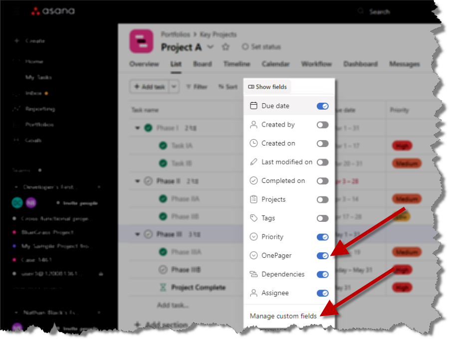 Add a custom field to Asana