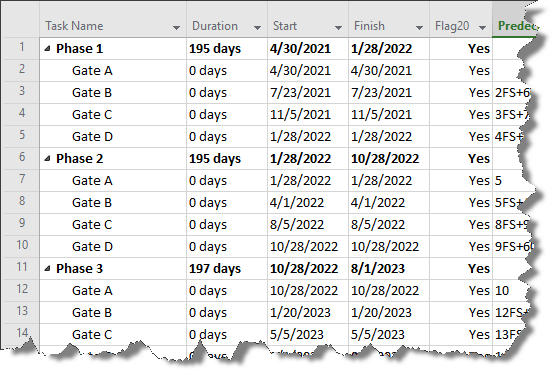 Microsoft Project plan with tasks and milestones.