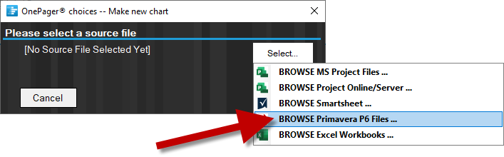 Browse Primavera P6 XML or XER projects for import into OnePager.