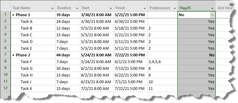 Microsoft Project plan.
