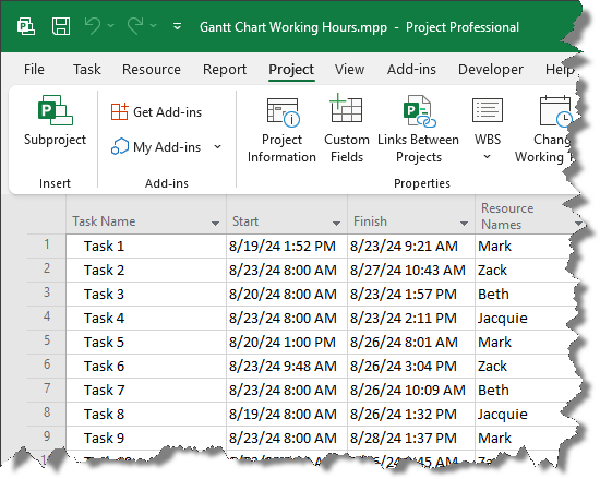 Excel Project Plan