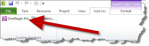 Microsoft Project Hourly Gantt Chart