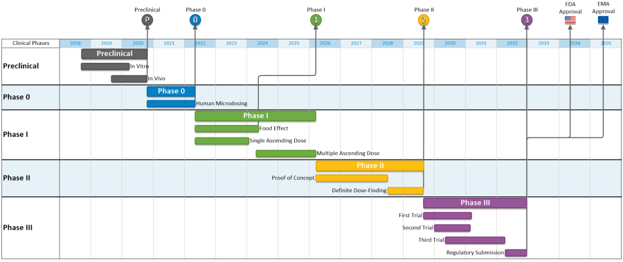 Ms Project Timeline Feature Microsoft Project Timeline with Key Milestones | OnePager