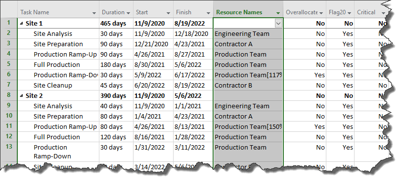 Microsoft Project plan with resource information.