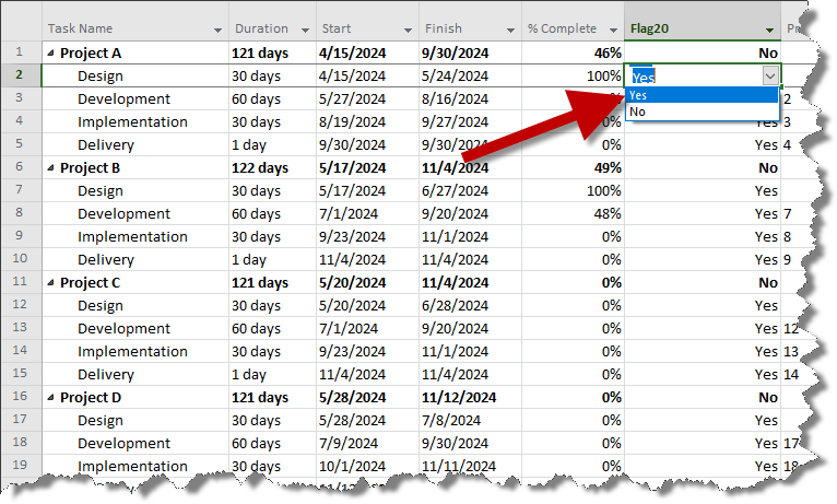 Microsoft Project Plan with Flag Field