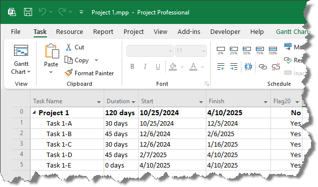 Microsoft Project plan.