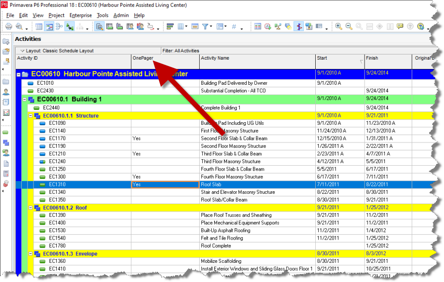Primavera P6 user defined field determines which activiites should show in the plan on a page.