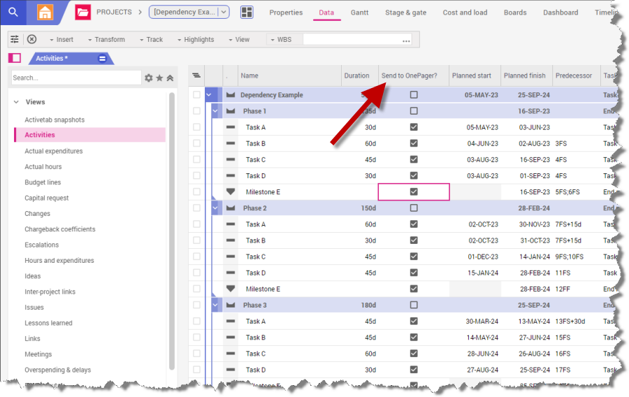 Planisware Boolean attribute can be used to filter activities.
