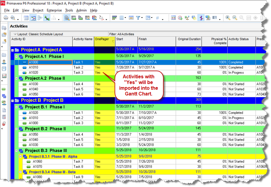 Filter activities in Primavera P6 before creating a Gantt chart.