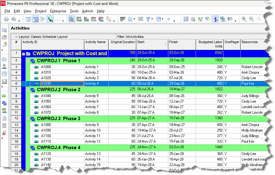Primavera P6 schedule with hourly work
