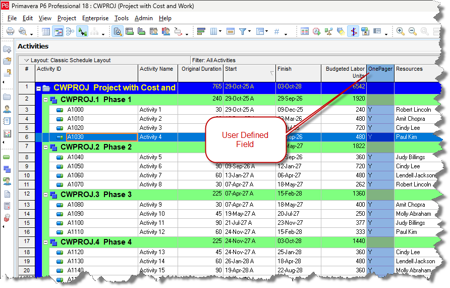 Select activities from Primavera P6.