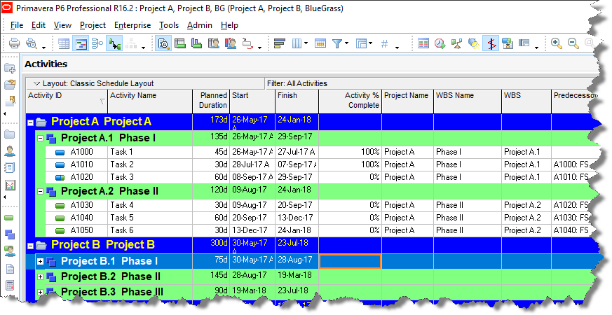 Oracle Primavera P6 project plan, complete with the standard Gantt chart view.