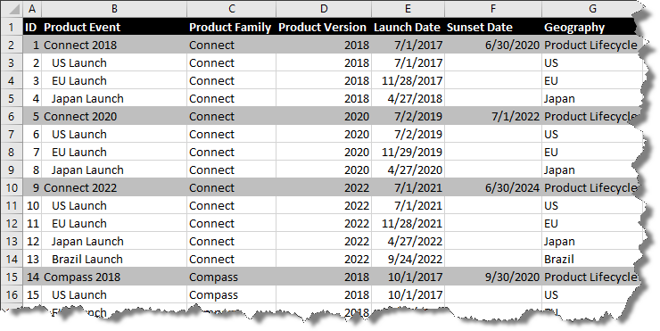 Product portfolio roadmap tracked in Excel.