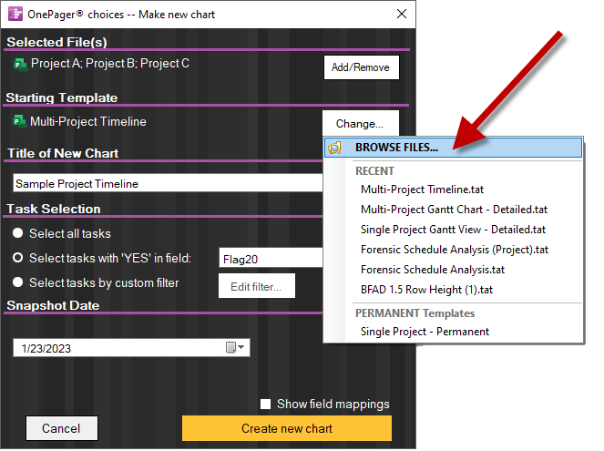 Select a template for a multi-project timeline.