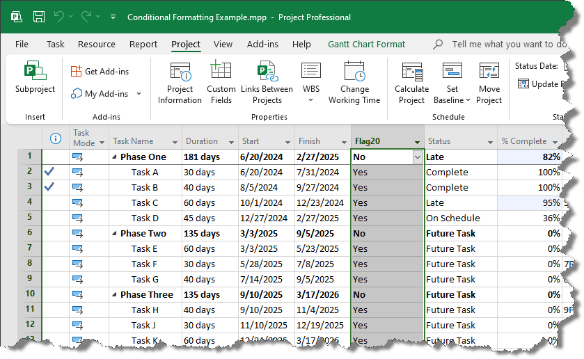 Microsoft Project Plan