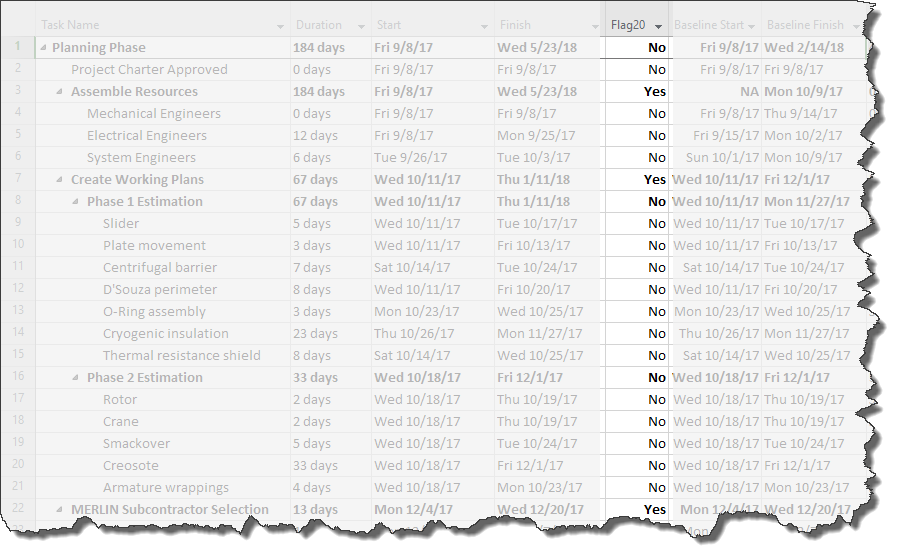 Flag fields allow you to filter which elements of your MS Project schedule to present in OnePager Pro.