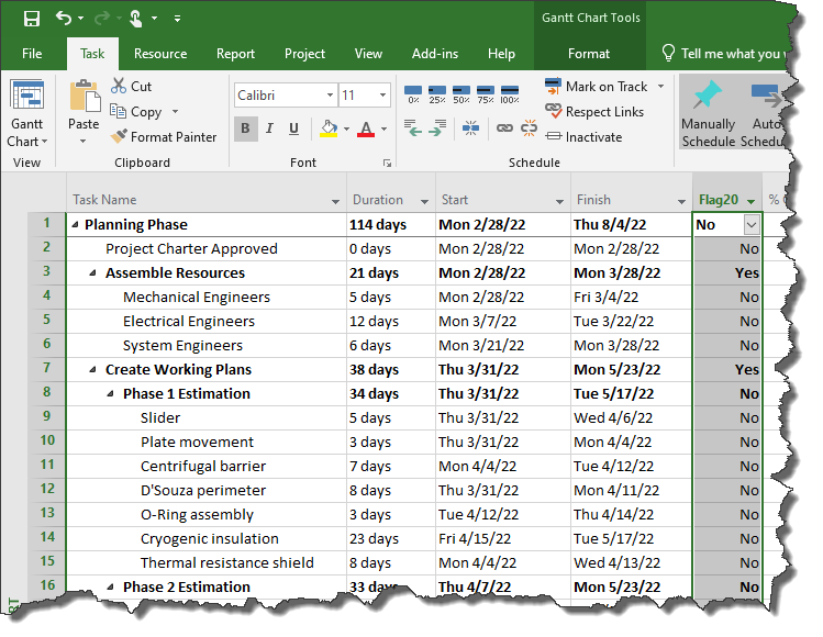 Standard Microsoft Project plan without a OnePager Pro visual.