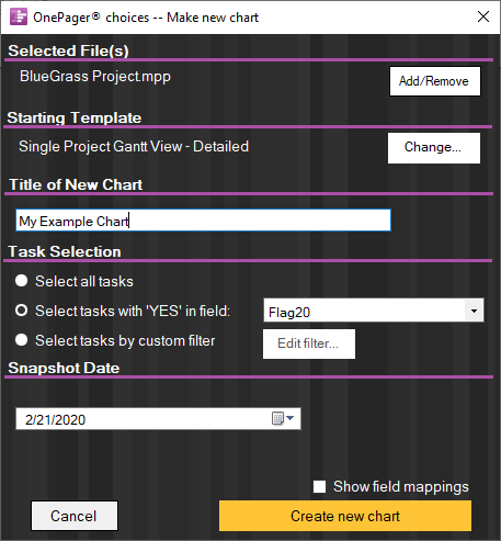 OnePager Pro enables you to import as much or as little project information as you would like so that you can create project timelines that are easy to understand.