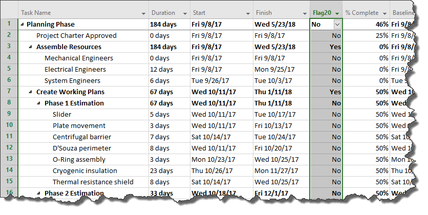 Microsoft Project Gantt Chart Example