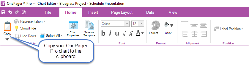 Copy your OnePager Pro chart to the clipboard