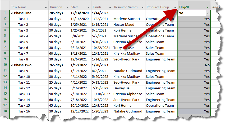 Select tasks from Microsoft Project.