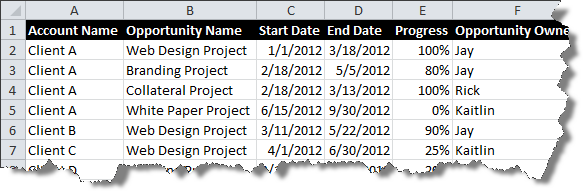Salesforce data exported to Excel.