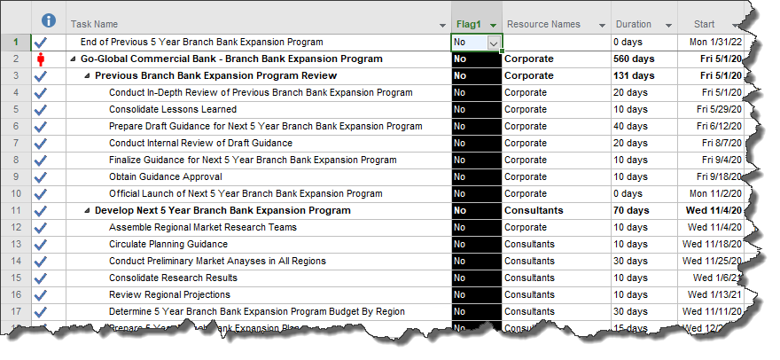 Microsoft Project plan, flagged for import into OnePager Pro.