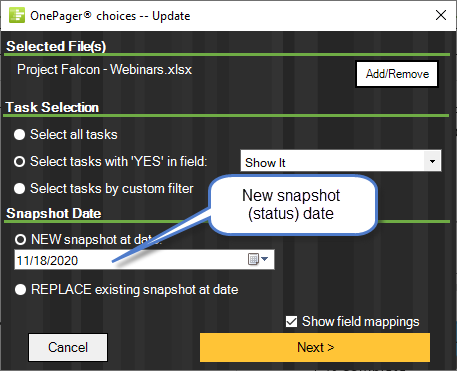 OnePager Express' import wizard makes it easy to refresh your Gantt chart with updated project information.
