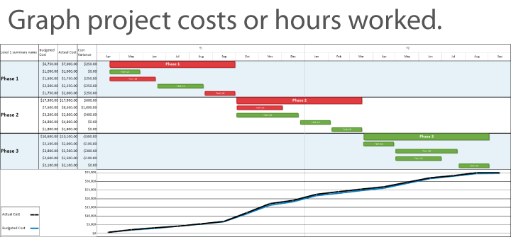 Track project costs or hours worked in a line, column, or area graph.