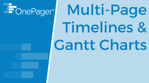 Multi-Page Reports