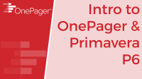 Import and Primavera P6 XML or XER file into OnePager Bundle