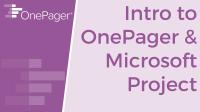 Getting Started with OnePager Pro