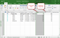 Use Microsoft Project Flag Columns to Select Tasks
