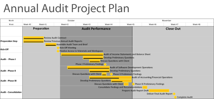 Annual Audit Project Plan
