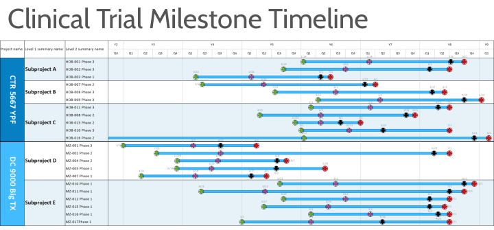 Examples Of Gantt Charts In Healthcare