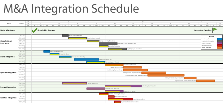 M&A Integration Schedule