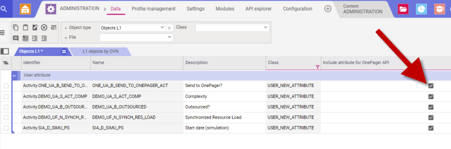 Importing Planisware Custom Attributes