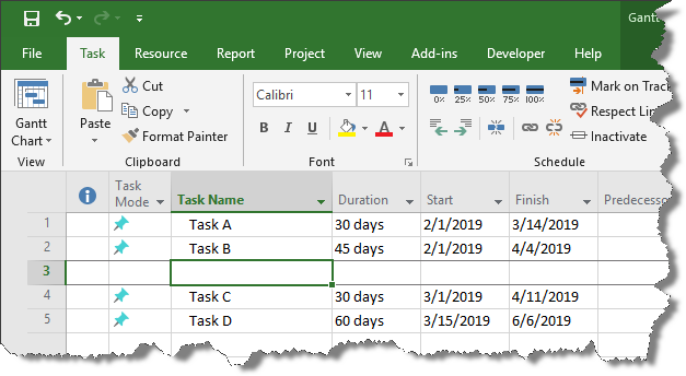 Blank row in Microsoft Project.