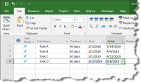 Learn how to build a new Microsoft Project document, and add tasks with dates and durations.