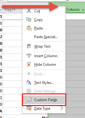 Right-click on any column heading in Project to access the Custom Fields dialog box.