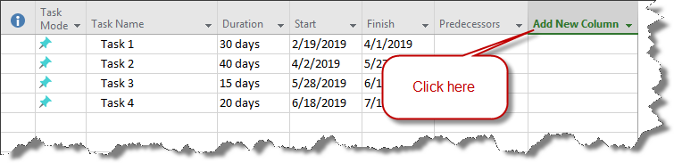 Add New Column to Microsoft Project.