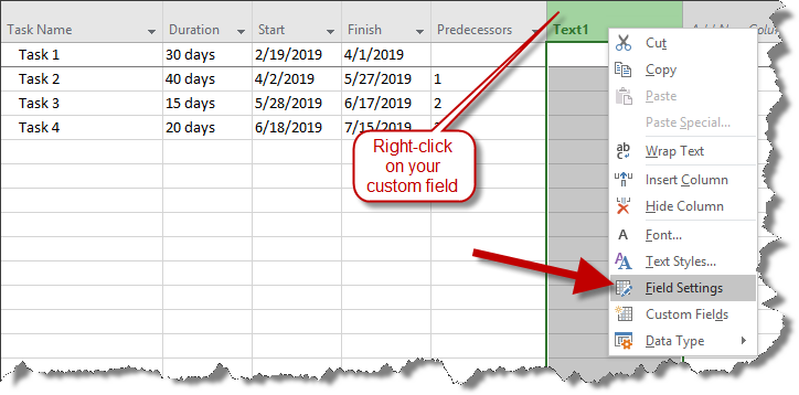 Right click on a Microsoft Project column header or column heading to change its properties.