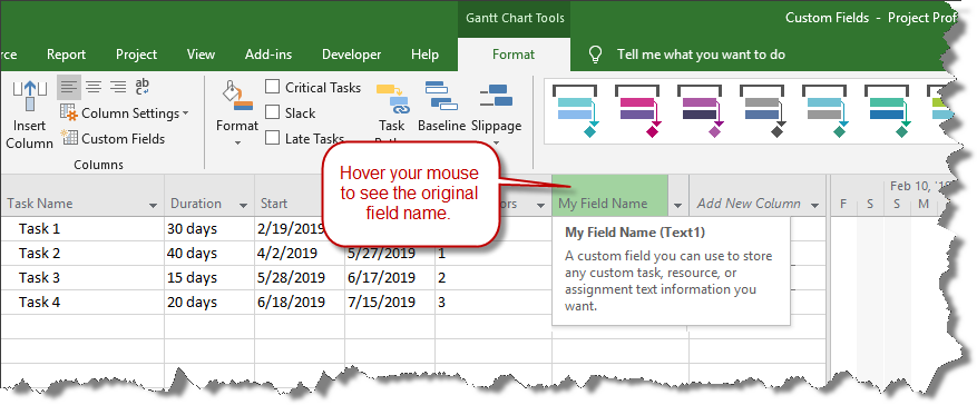 Microsoft Project field name and column title displayed side-by-side.