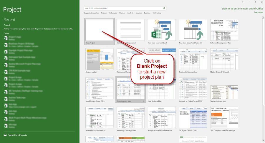 Create a blank Microsoft Project Plan.
