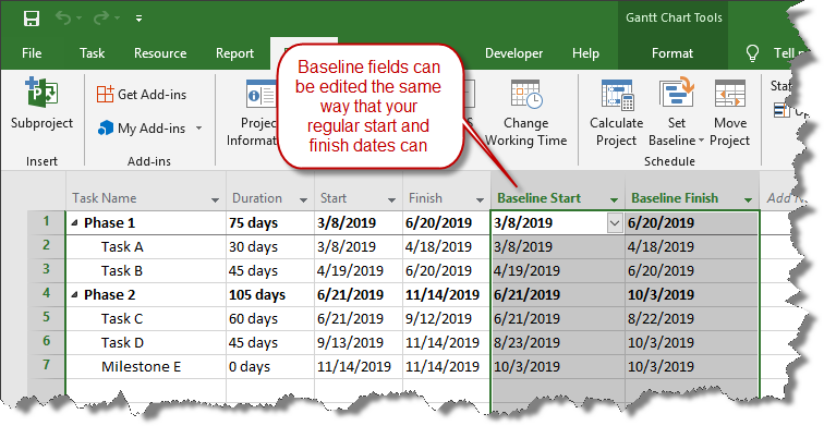 Baselines Microsoft Project Tips