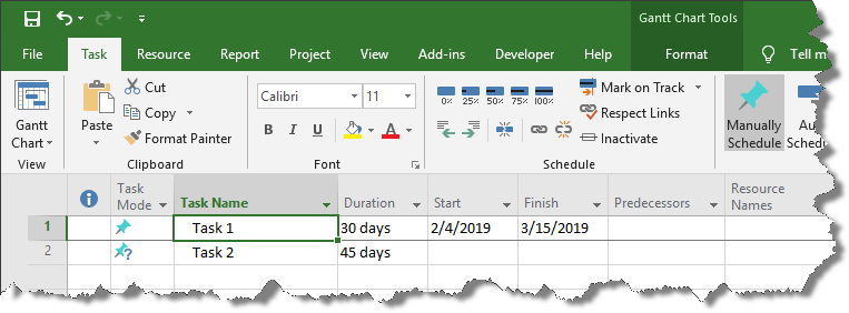 Microsoft Project plan with two tasks.