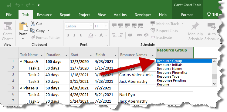 Insert the Resource Group field into the Microsoft Project Gantt Chart.