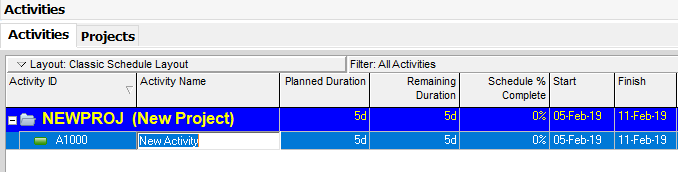 A new Primavera P6 activity, with default information.