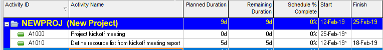 Simple P6 plan with auto-scheduling disabled.