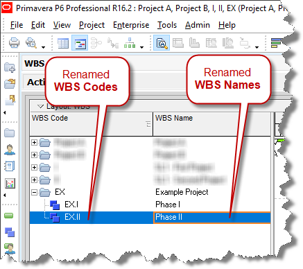 Primavera P6 WBS Code and WBS Name
